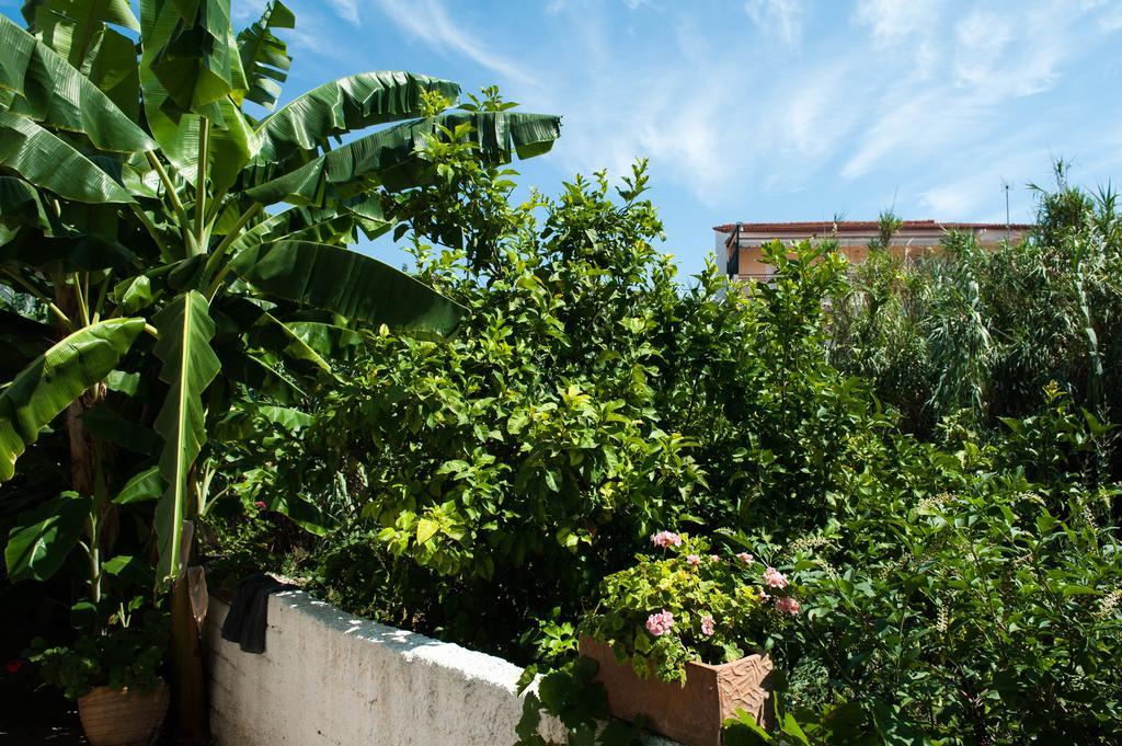 Studios Margarita Πεταλίδι Εξωτερικό φωτογραφία